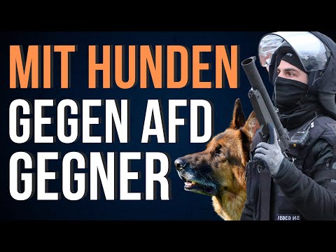 Youtube: AfD-Parteitag: Polizei schlägt Linken-Politiker bewusstlos