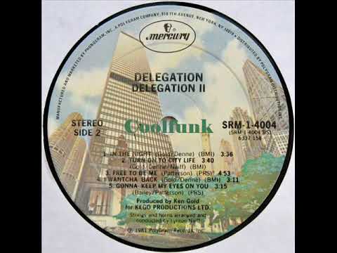 Youtube: Delegation - In The Night (1981)
