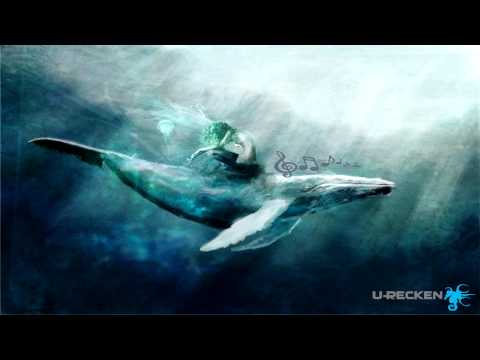 Youtube: U-Recken - Whale Song