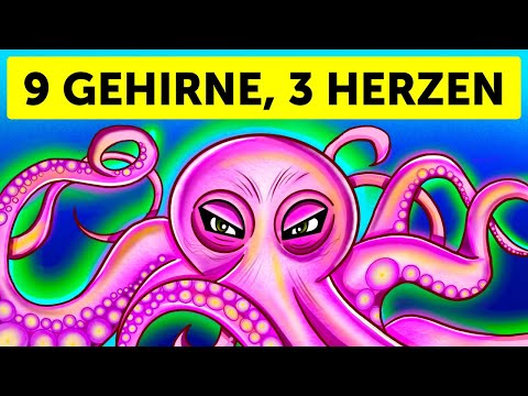 Youtube: Wärst du ein Krake, würden deine Arme ein Eigenleben führen