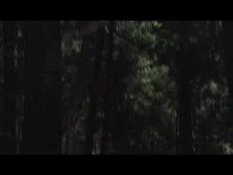 Youtube: Simon Says Trailer (TADFF 2007)