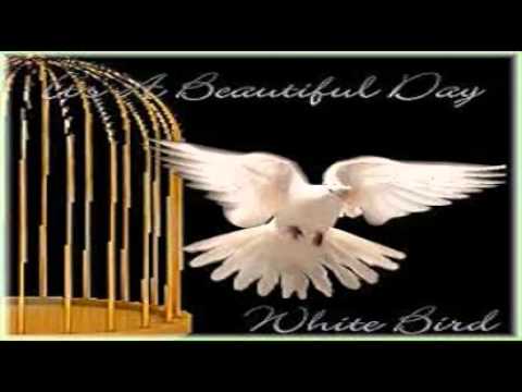 Youtube: It's A Beautiful Day - White Bird (1969)