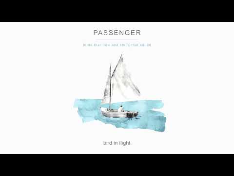 Youtube: Passenger | bird in flight (Official Audio)