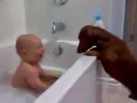 Youtube: Baby Laughing with a dog