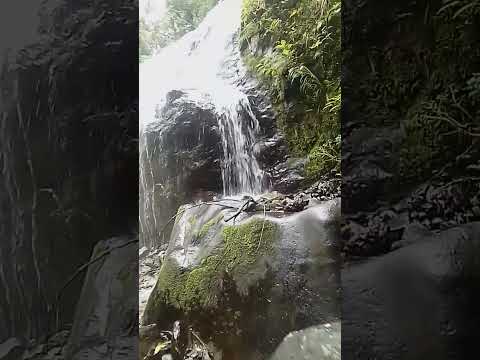 Youtube: waterfall the pianista.cascada el  pianista