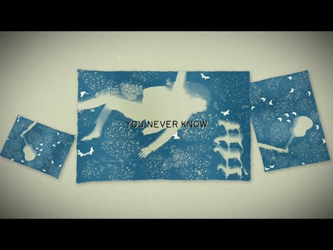Youtube: Iron & Wine - You Never Know (Official Lyric Video)
