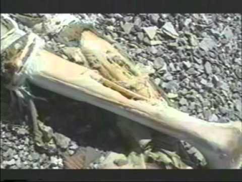 Youtube: Mount Everest   Mallory & Irvine 1924   Discovery Of Mallory's body