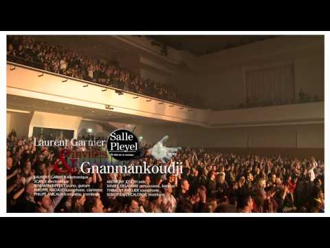 Youtube: Laurent Garnier-GNANMANKOUDJII  Live @ salle Pleyel.mov