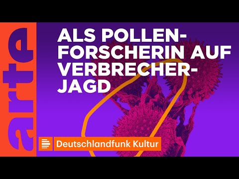 Youtube: Pollenforscherin Martina Weber | People of Science | ARTE