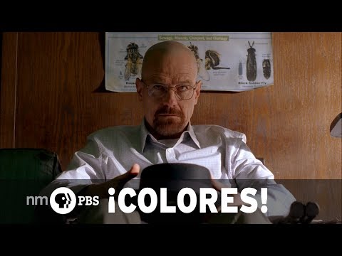 Youtube: NMPBS ¡COLORES!: Bryan Cranston & the end of "Breaking Bad"