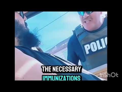 Youtube: Cop Pulls Over Man Identifying As A Cat