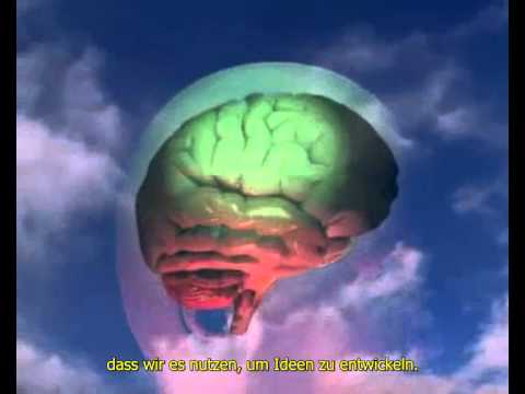 Youtube: Stanislav Grof - Schamanismus, LSD und Holotropes Atmen