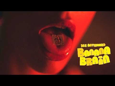 Youtube: DIE ANTWOORD - BANANA BRAIN (Official Video)