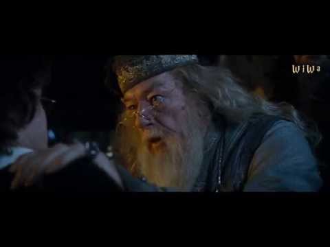 Youtube: Fresh Dumbledore - Echt Stil [WiWa Music Video]