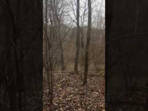 Youtube: Vid 2 Delphi Murders: Retracing Libby and Abby's steps Monon High Bridge