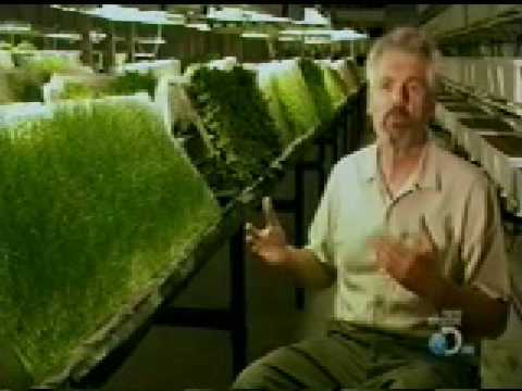 Youtube: AgriHouse Air Foods - aeroponic organic food production