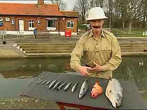 Youtube: Mr Palin on the sport of Fish Slapping.
