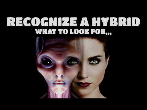 Youtube: Recognize A Hybrid! What To Look For...