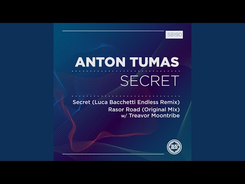 Youtube: Secret (Luca Bacchetti Endless Remix)