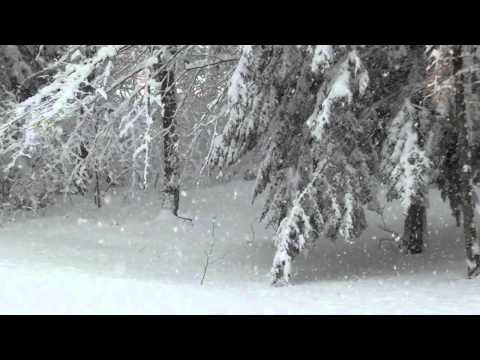 Youtube: 50 Words For Snow