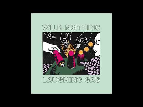 Youtube: Wild Nothing - The World is a Hungry Place