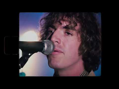 Youtube: Shambolics Featuring Kyle Falconer - Attention (Official Music Video)