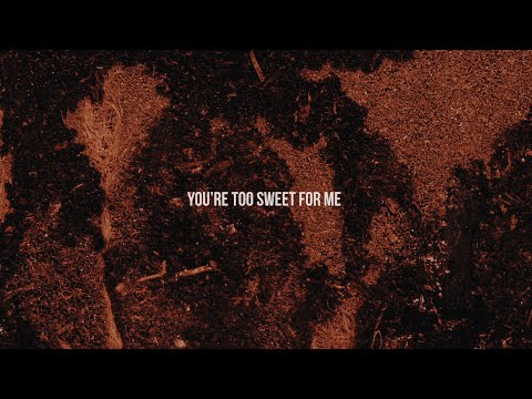 Youtube: Hozier - Too Sweet (Official Lyric Video)