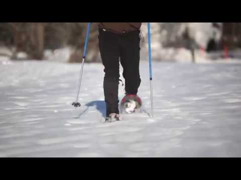 Youtube: How-to-Snowshoe: Learn the basics from the experts | L.L.Bean