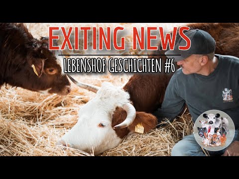 Youtube: Exiting News: Happy End für Vater, Mutter & Kinder – Lebenshof Geschichten # 6