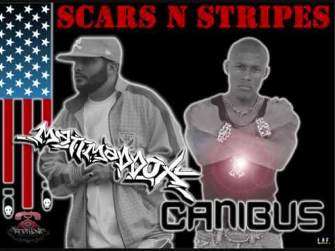 Youtube: Matt Maddox - Scars n Stripes Feat. CANIBUS prod. by Ganjak
