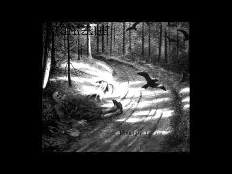 Youtube: Burzum - Hvis lyset tar oss [1994] (full album)