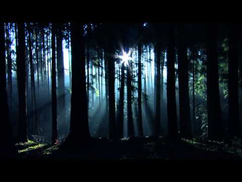 Youtube: THE CURE - A forest