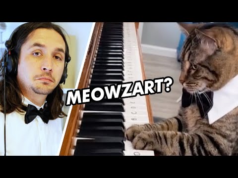 Youtube: The Kiffness x Mozart Cat - Piano Playing Cat (Remix)