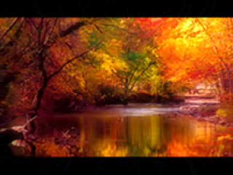 Youtube: VAN MORRISON _ WHEN THE LEAVES COME FALLING DOWN.