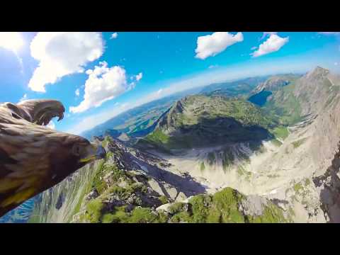 Youtube: Stunning eagle's point of view of the Alps. 😍Red Bull