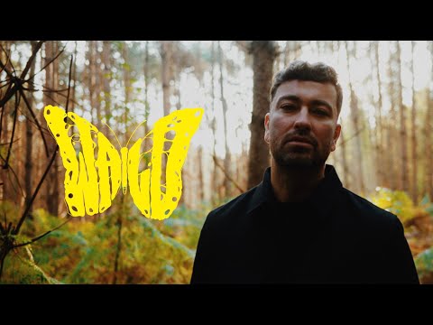 Youtube: Marteria - Wald (Official Video)