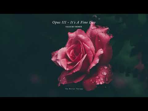 Youtube: Opus III - It's A Fine Day (Salecky Remix) [Deep House] #fineday4everyone