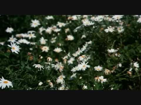 Youtube: Harold And Maude - Flower Scene