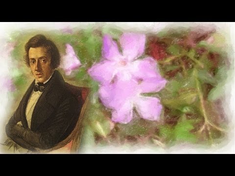 Youtube: Chopin - Klavierkonzert - Grande Valse Brillante in Eb - Walzer - Klaviermusik - Frederic Chopin