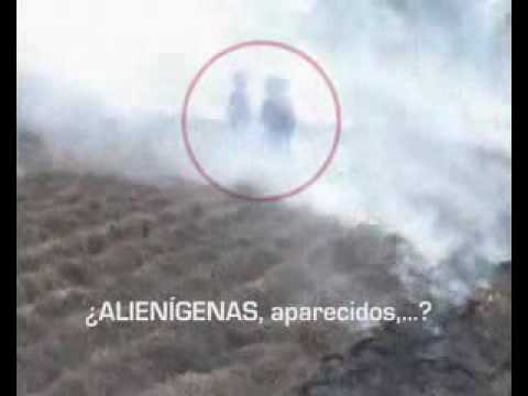 Youtube: alien Greys set crop field alight (non English report)