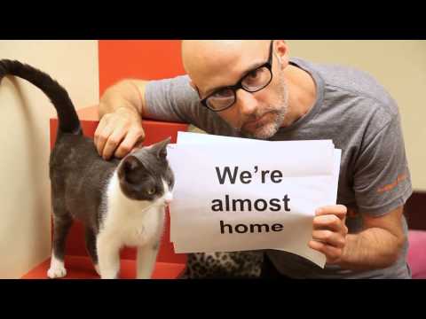 Youtube: Moby - Almost Home (Best Friends Animal Society Lyric Video) with Damien Jurado