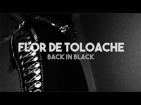 Youtube: Back in Black - ACDC remake by NYC's mariachi fusion group Latin Grammy Winners  Flor De Toloache