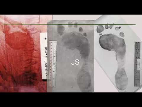 Youtube: Footprint Jens Söring Case / Vergleich Sockenabdruck Mordfall Haysom