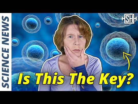 Youtube: New Study Finds Alien Life Must Be Similar To Us