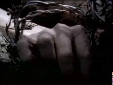 Youtube: Carcass - No Love Lost
