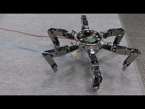 Youtube: Asterisk - Omni-directional Insect Robot Picks Up Prey #DigInfo