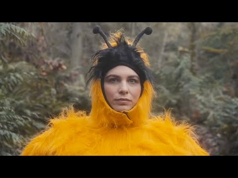 Youtube: The Head and the Heart - Honeybee [Official Music Video]