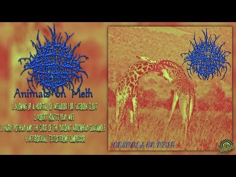 Youtube: BRAKE FLUID INJECTION - Animals On Meth (Full EP Stream-2019)