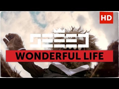 Youtube: Seeed - Wonderful Life (Aargh Video)