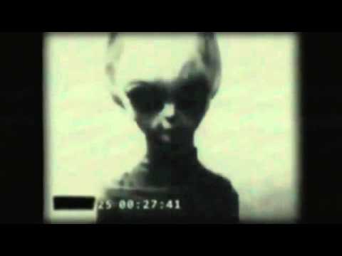 Youtube: Wikileaks Video Of Roswell Grey Alien
